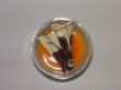Panacotta 2.JPG